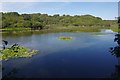 SR9794 : Bosherston Lily Ponds by Stephen McKay