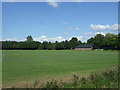 Sports ground, Clare