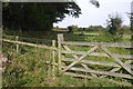 Gate by Kyloe House