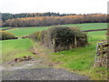 Across Farmland to Abbeyford Wood