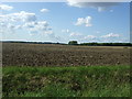 Field north of Stanstead