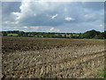 Stubble field, Bull Green