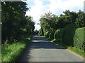 Church Road near Hawstead Lodge