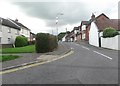 Tower Road, Conlig