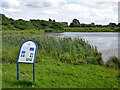 Main Lake, Bedfords Park