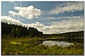 NH8301 : Uath Lochan Nature Reserve in Inshriach Forest, Cairngorm National Park by Andrew Tryon