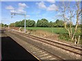 View from a Reading-Swindon train - Line of trees screening water treatment works near Grove