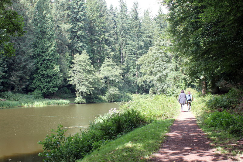 Soudley Ponds, Forest of Dean © Jeff Buck cc-by-sa/2.0 :: Geograph ...