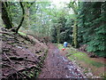 Llwybr Cefn-gardys / Cefn-gardys Path