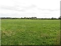 NZ1899 : Grass field near West Thirston by Graham Robson