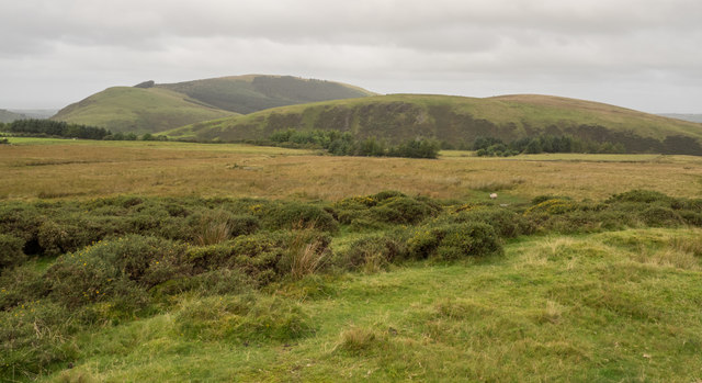Moorland at Scaly Moss