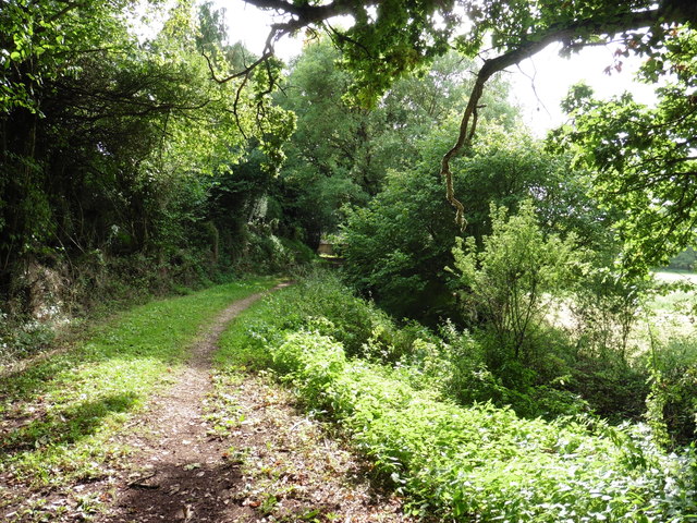Path to Shobrooke Mill