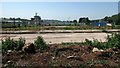 Derelict site by Brixham Road