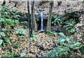 Woodland waterfall, 10-acre Wood, Holbans Farm