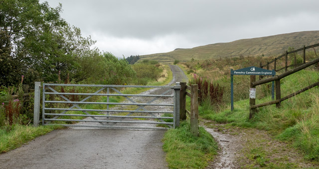 Forestry Commission access road