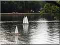 Black Park Model Boat regatta - yachts