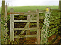 Gate above Milton Lodge