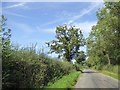 Welsh Lane near Boycott Manor Farm