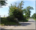 Hedge and trees at Evershaw Farm