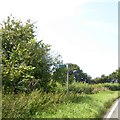 Footpath sign near Ash Vale