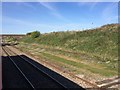 View from a Reading-Swindon train - Bridge next to Railwaybank Plantation