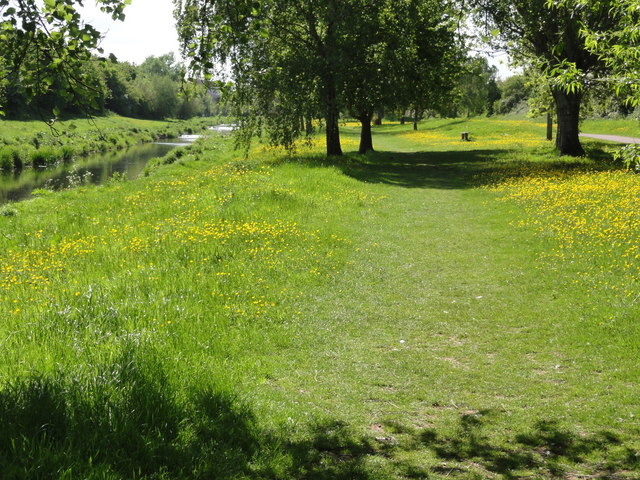 Footpath by the River Tone