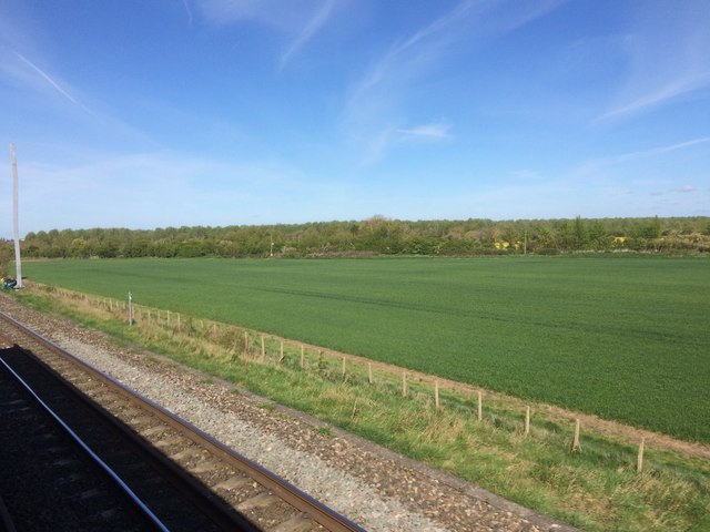 View from a Reading-Swindon train - Field near Lowerfield Farm