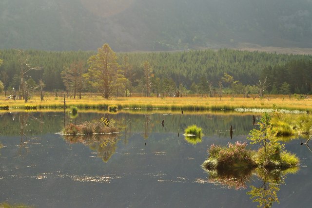 Wetland Nature Reserve, Cairngorm National Park