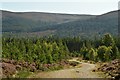 NH8705 : Forest Track in Inshriach, Cairngorm National Park by Andrew Tryon