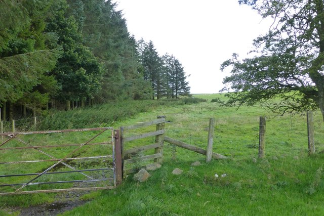 Gate to field beside a wood