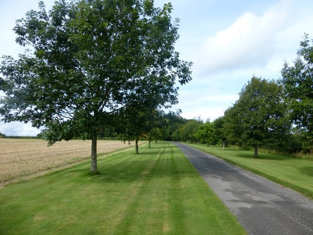 Tree-lined approach to Langley Priory