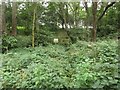 Footpath crossing Eshott Burn