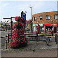SK5837 : West Bridgford: petunias in Tudor Square by John Sutton