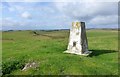 NY9880 : Trig point on Bavington Crags by Russel Wills