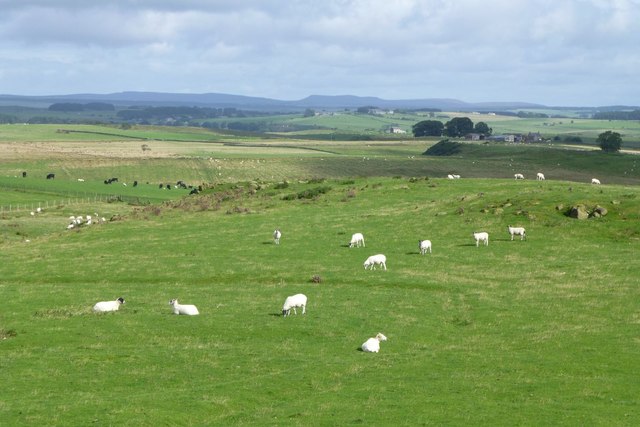 Looking north over Bavington Crags