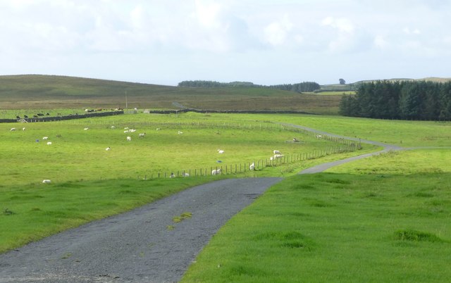 Unfenced road over St Mary's Pike