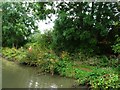 Jogger on the towpath in Brownsover, Rugby