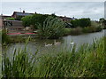 Grand Union Canal in South Wigston