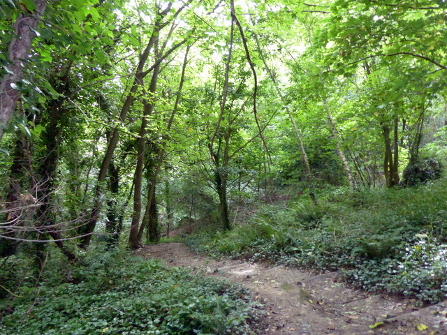 Summerfields Wood Nature Reserve