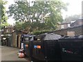 Recycle bins on Kew Station Approach