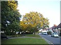 Public garden by Hale Lane, Mill Hill