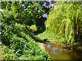 Mill stream at Shonk