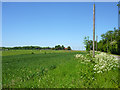 View towards Little Tawney Hall Farm