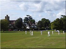 TQ5446 : Cricket on the village green at Leigh by Marathon