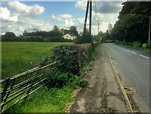 SD4918 : Farmland off Highfield Road by David Dixon