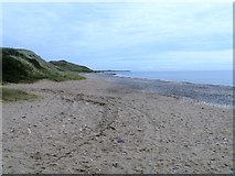 T2777 : Ennereilly Beach [3] by Michael Dibb