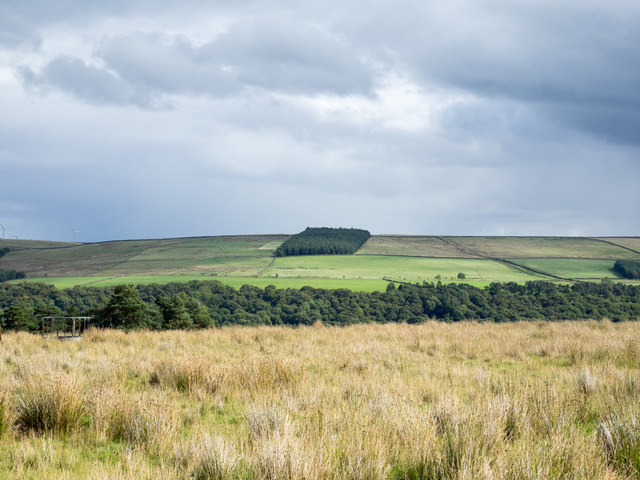 Moorland with rushes above Tunstall Reservoir