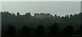 View of Burley-on-the-Hill House from Snipe Hide in Rutland Water Nature Reserve #3