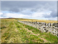 NZ0442 : Dry stone wall with through-stone stile by Trevor Littlewood
