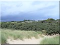 T1941 : The view from atop the dunes [3] by Michael Dibb